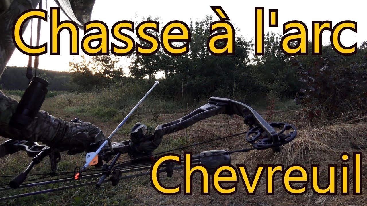 Chasse du chevreuil à l'arc