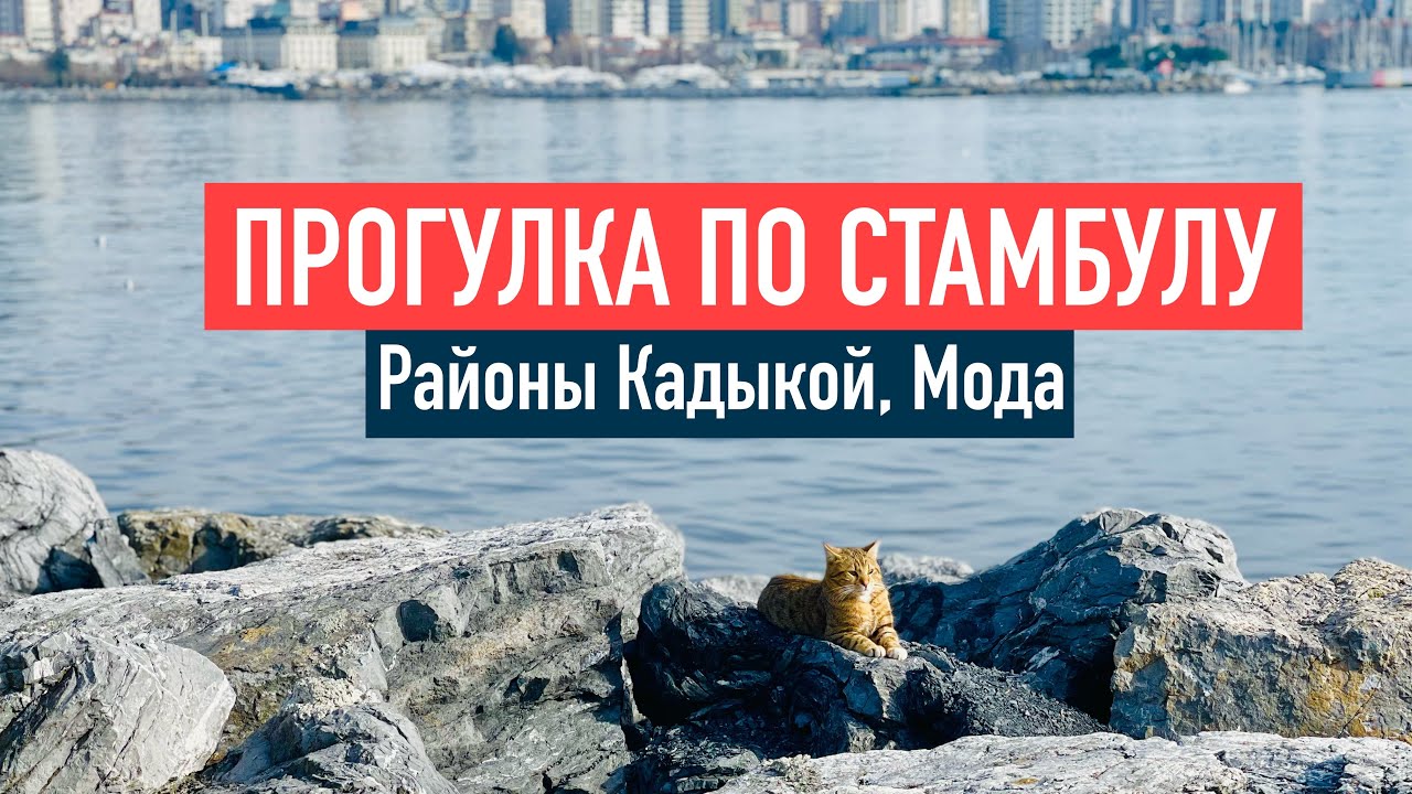 Стамбул в феврале, прогулка по районам Кадыкой и Мода