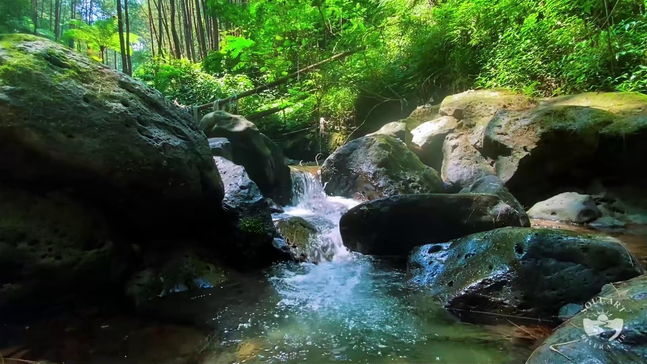 River Sounds & waterfall Sounds for Sleeping | Nature Stream for Relaxing & Stress Relief. #river 4