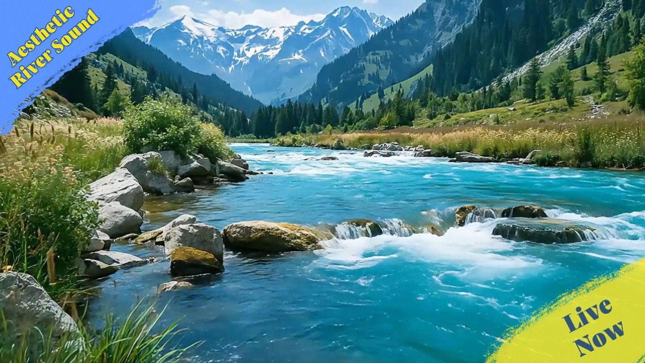 It's Okay To Rest Now 🌿 Calm River ASMR, nature sounds for sleeping