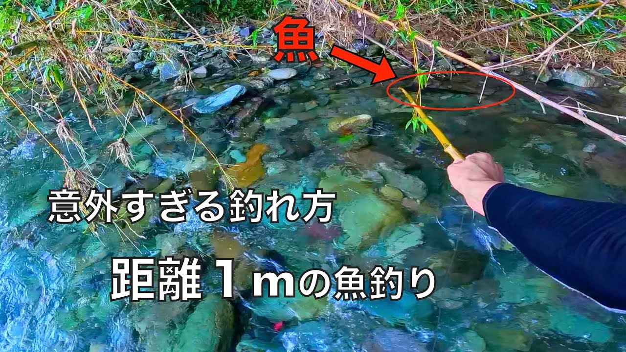 距離１mの魚釣り。意外に美味しいあの魚を本気で調理した結果‥