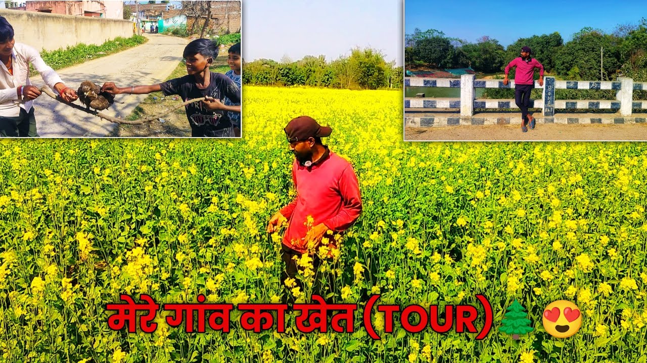 मेरे गांव का खेत TOUR 😍