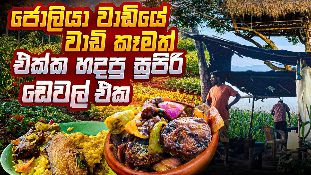 ජොලිය වාඩියේ වාඩි කෑමත් එක්ක හදපු සුපිරි ඩෙවල් එක 