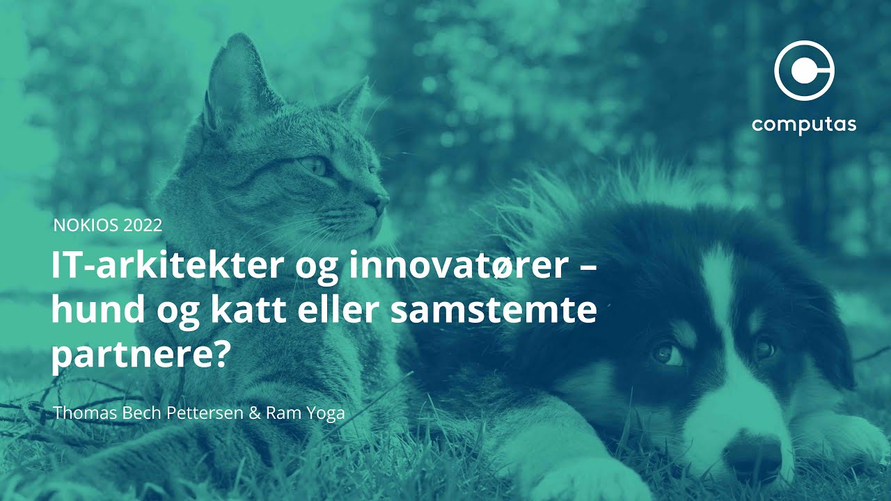 Nokios-utstillerseminar: IT-arkitekter og innovatører – hund og katt eller samstemte partnere