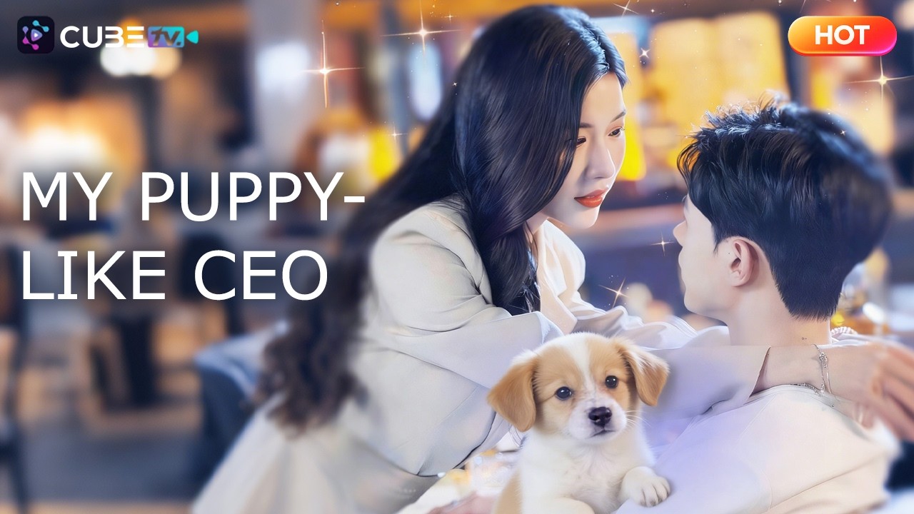 The Boy She Saved Turned Out to Be a Billionaire! 15 Years Later, He Returns to Marry Her | CubeTV