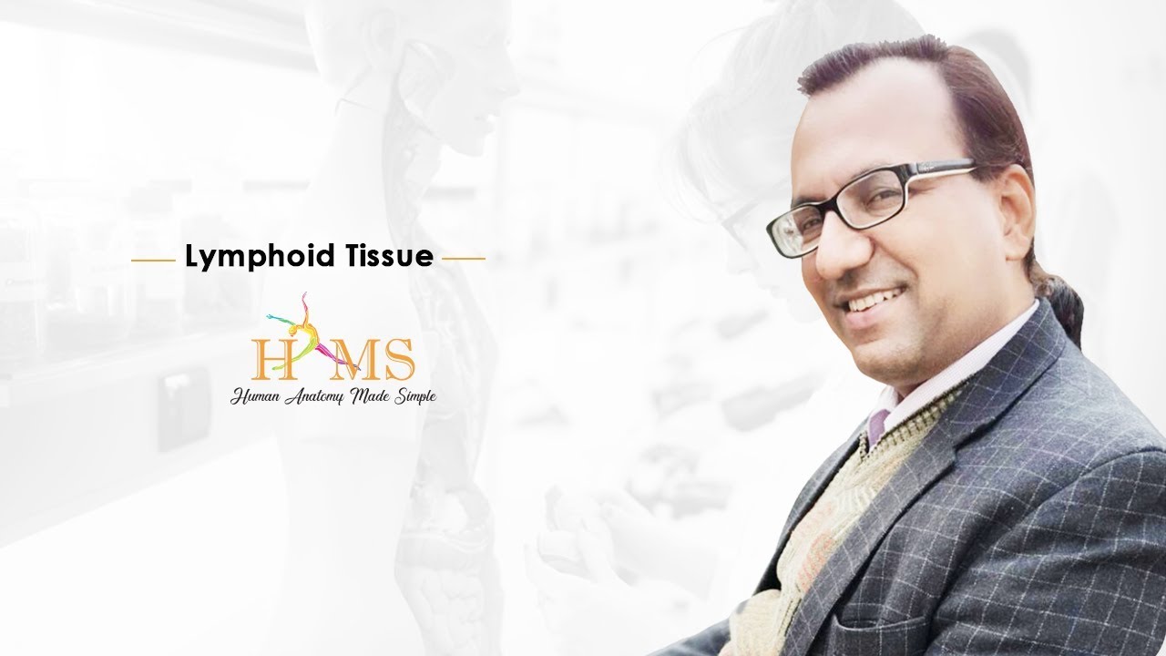 Dr. Rajesh Kaushal Discusses Lymphoid tissue