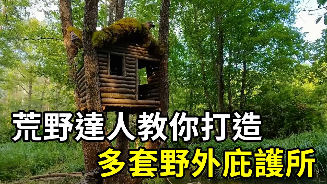 荒野達人教你如何打造多套實用野外庇護所！| 三千世界 #紀錄片 #有趣  #creative