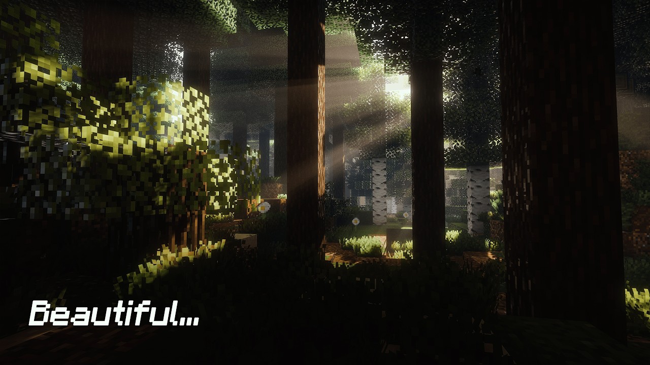 I Tested The Best NEW Visual Mod