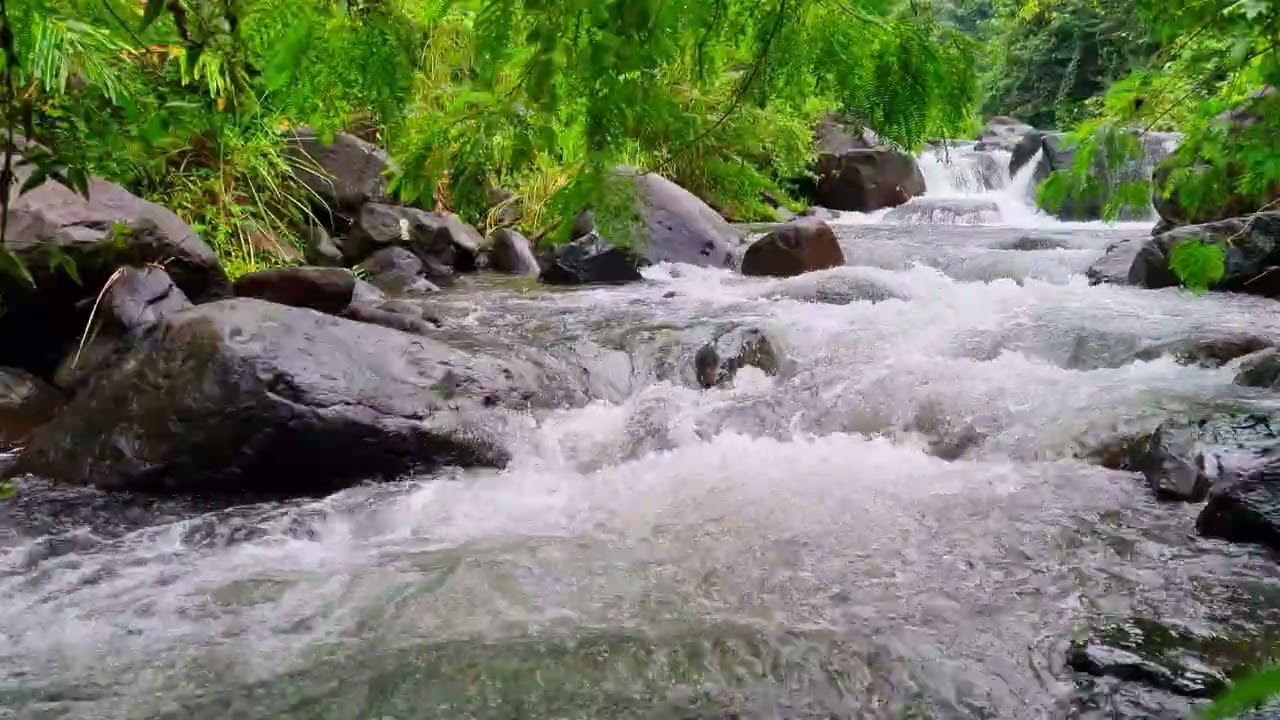 Calm Stream Flow Ambience For Deep Focus & Clear Mental Flow 4K • 1 Hour River Stream Ambience