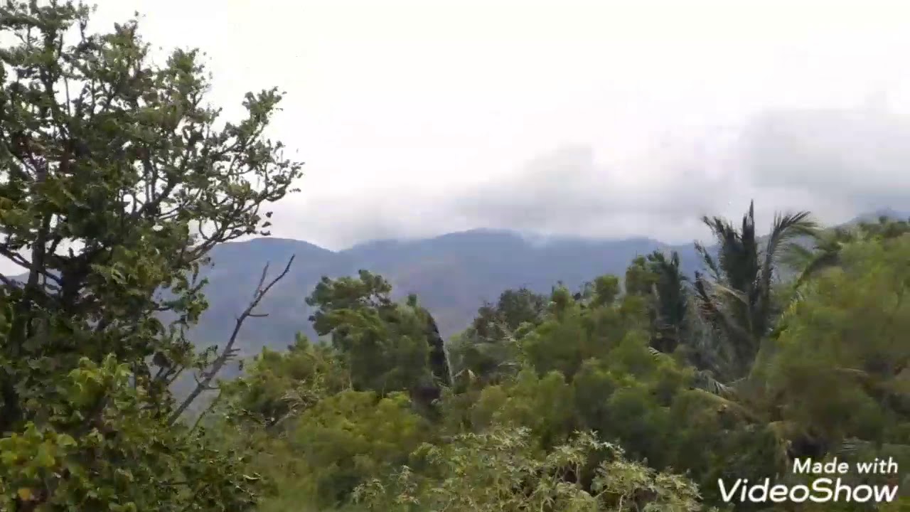 Cloudy Season