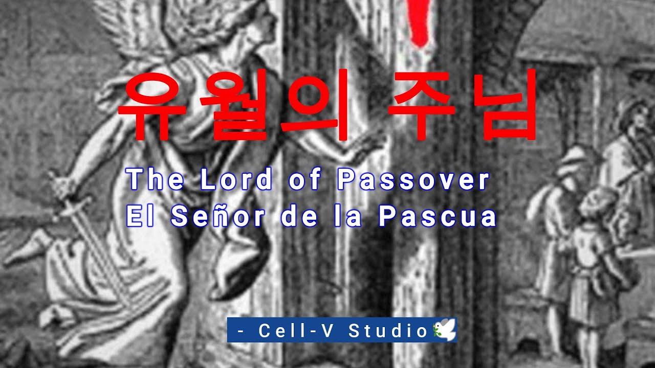 유월의 주님  | Official Lyric Video | Christian Worship