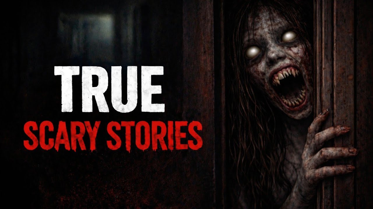 4 TRUE Horror Stories to Help You Sleep (No Screams) | Twilight Whispers Lullabies