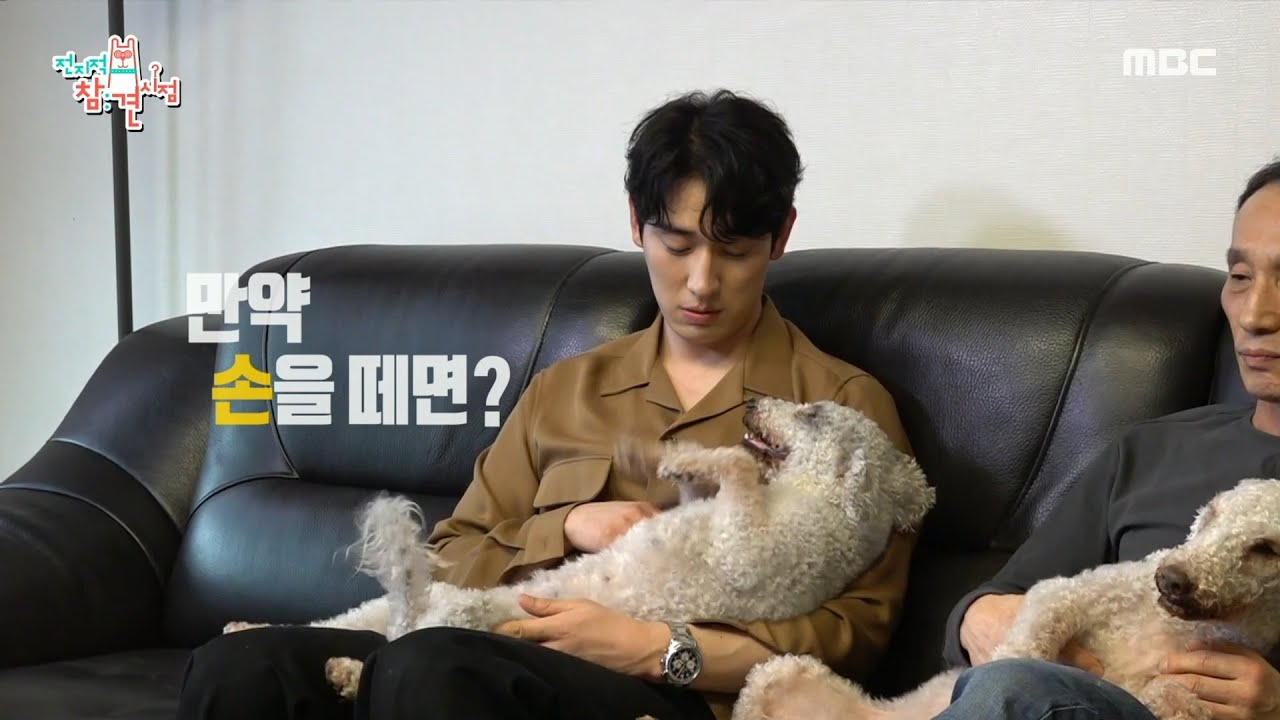 [전지적 참견 시점] 레몬청 드리러 부모님 댁에 도착한 윤박! 아기같이 안겨서 손길을 즐기는 하모니 아기야 아기잖아 💓, MBC 220409 방송