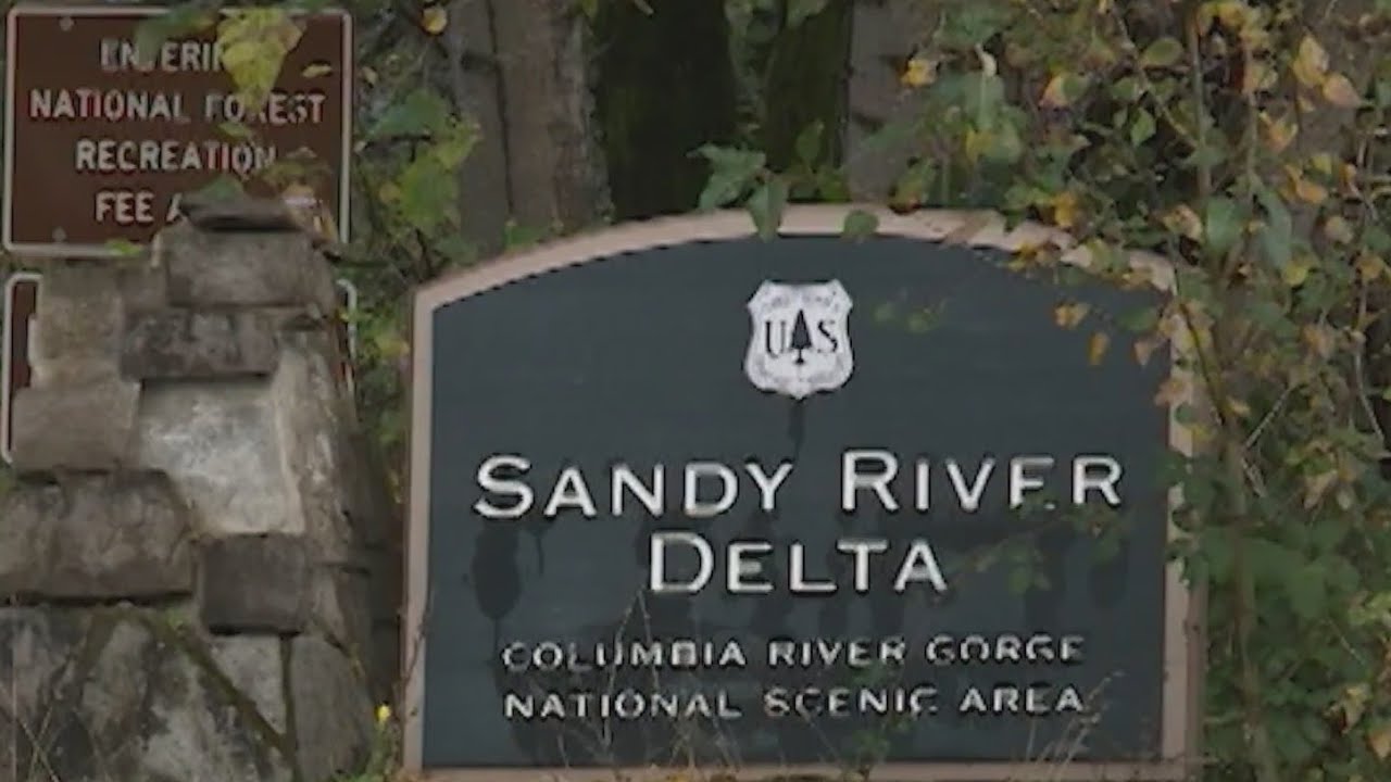 Tree limbs fall in Portland metro; 2 die, one hurt