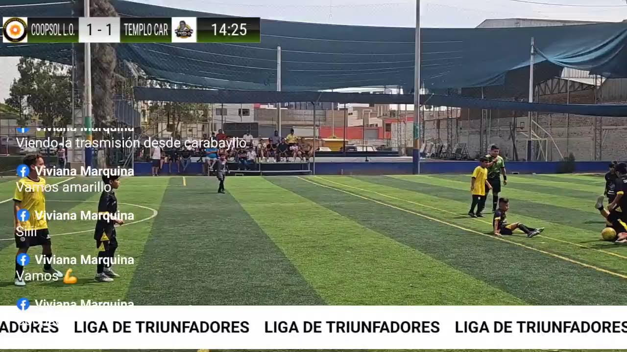 Transmisión en directo de Liga de triunfadores 99