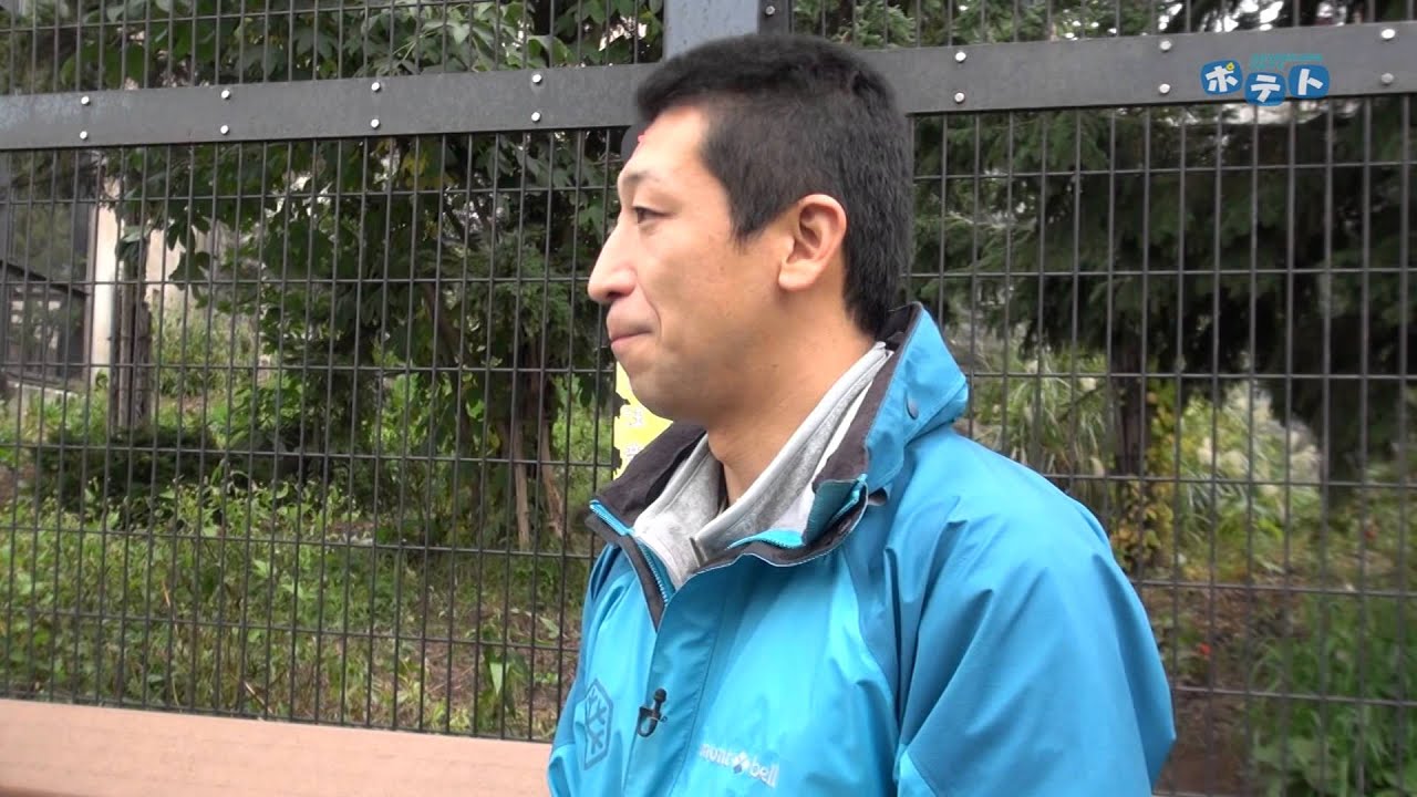 旭山動物園情報「アムールトラの来園」(2014年10月4日放送)
