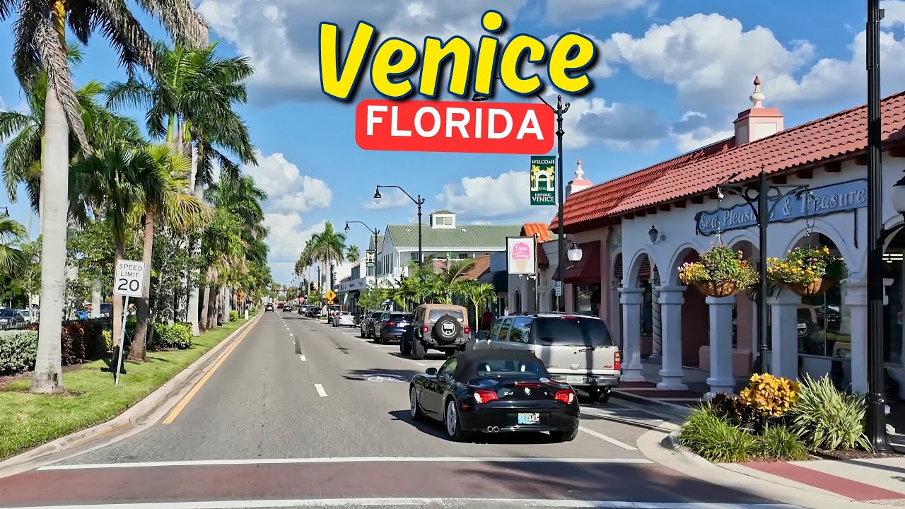 Driving Through Venice, Florida