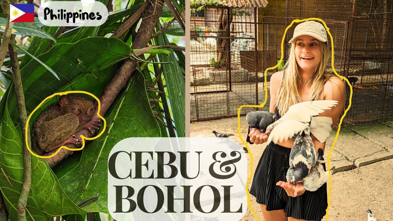 Lecimy na Filipiny ! / Visa / Gdzie zobaczyć prawdziwe życie Filipińczyków? / Cebu & Bohol