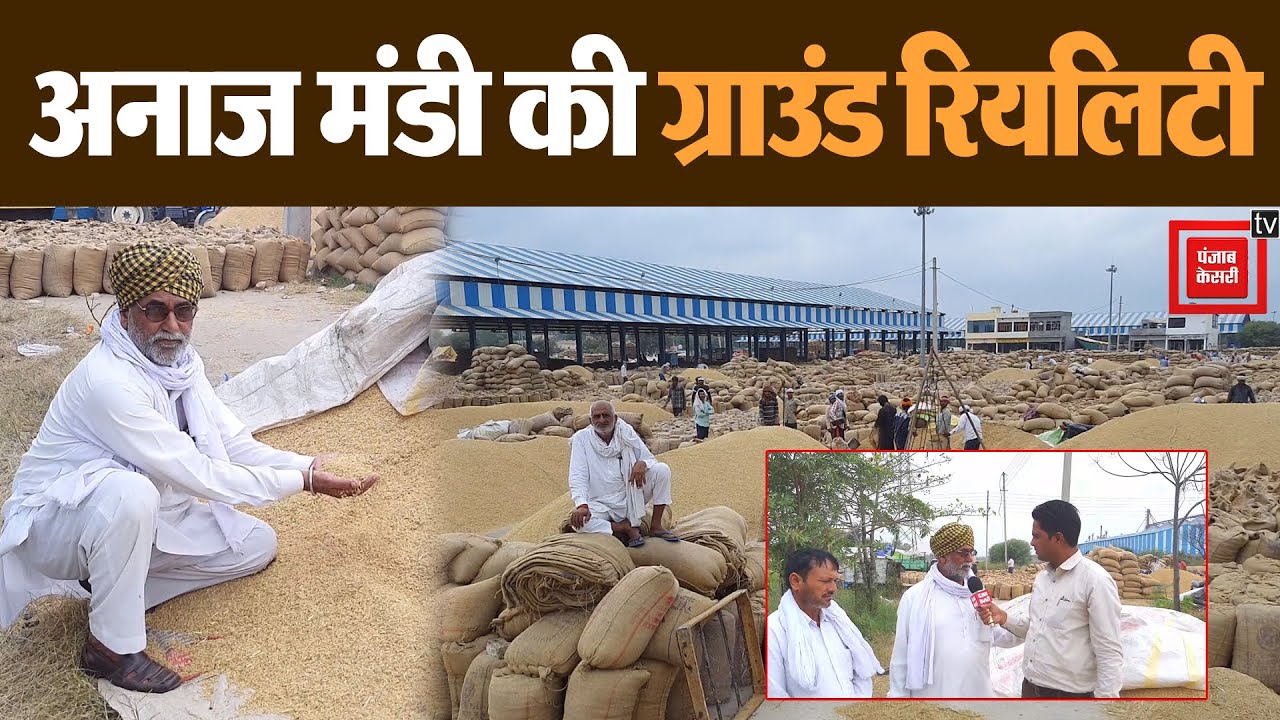 कैथल अनाज मंडी में MSP से कम दामों में हुई धान की खरीद, किसानों को हुआ भारी नुकसान