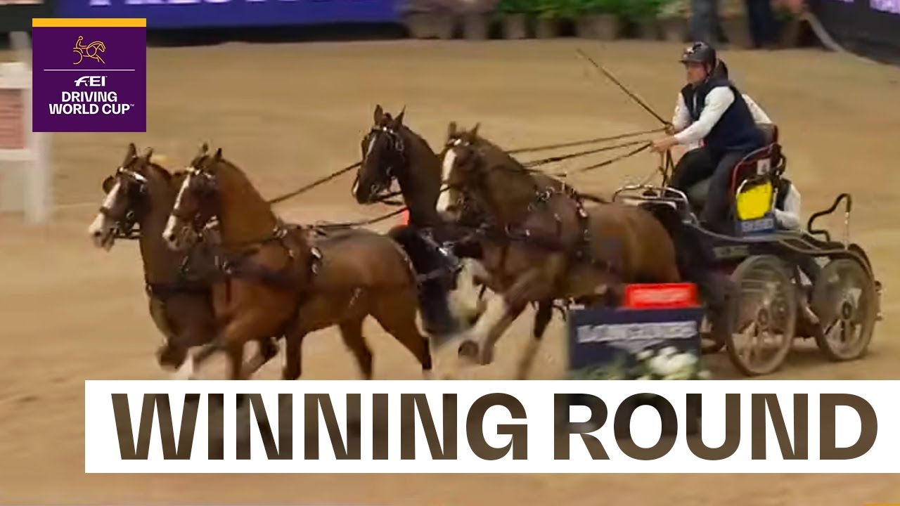 Two flawless rounds from Dries Degrieck! 🙌🏎️ |  FEI Driving World Cup™ Leipzig 2026