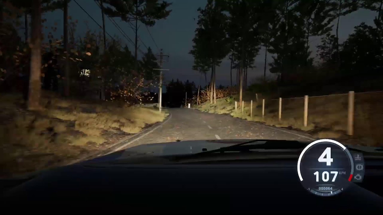 EA WRC  ARM eWRC Test