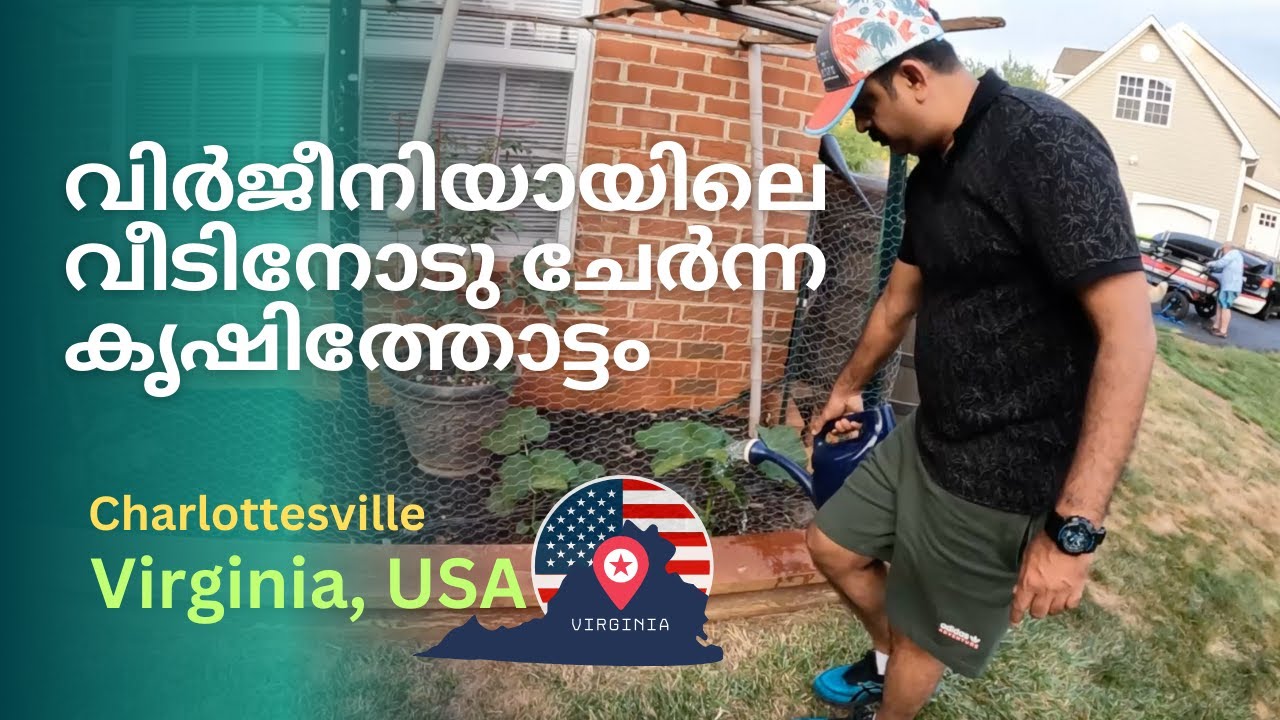 വിർജീനിയായിലെ വീടിനോടു ചേർന്ന കൃഷിത്തോട്ടം | #charlottesvilleva   #virginia #malayalam #vlog