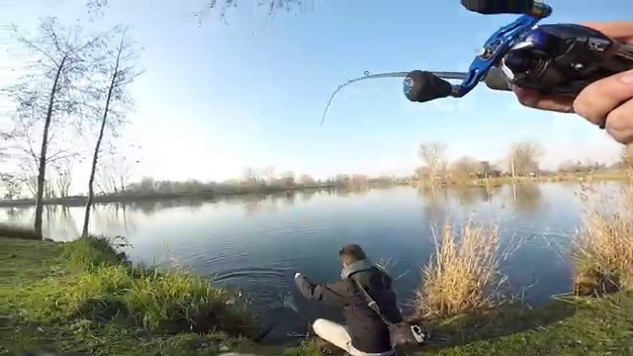 PIKE FISHING (Luccio over a casting)