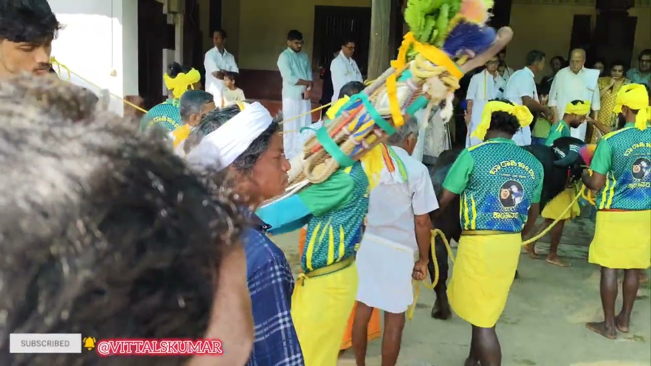 BARADI BEEDU   SOORYA-CHANDRA JODUKARE KAMBALA 2025 ಬಾರಾಡಿ ಬೀಡು 39ನೇ ವರ್ಷದ ಸೂರ್ಯ ಚಂದ್ರ ಜೋಡುಕರೆ ಕಂಬಳ 