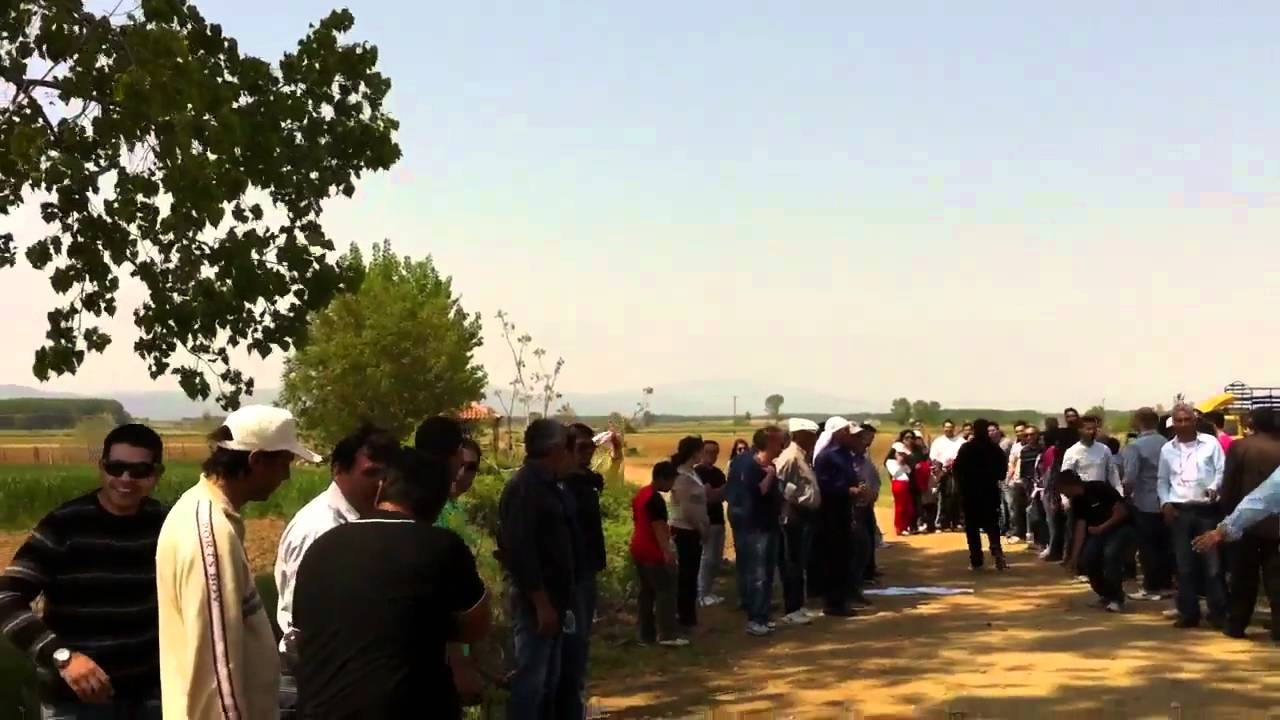 Anthi serrwn 2011