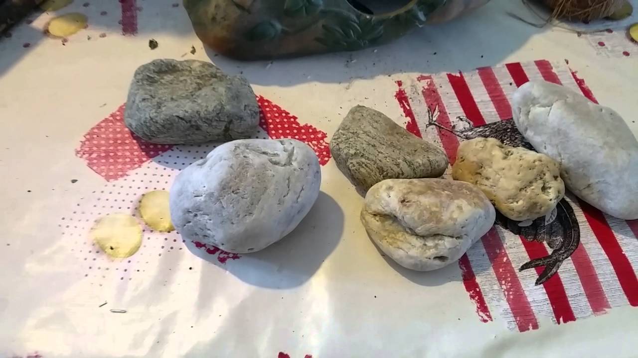 Revue des accessoires d'un habitat pour gerbilles ou hamster.