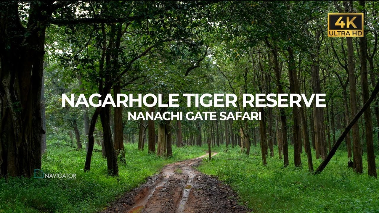 Nagarhole Tiger Reserve | Episode 1 | Nanachi Gate | Vlog#98