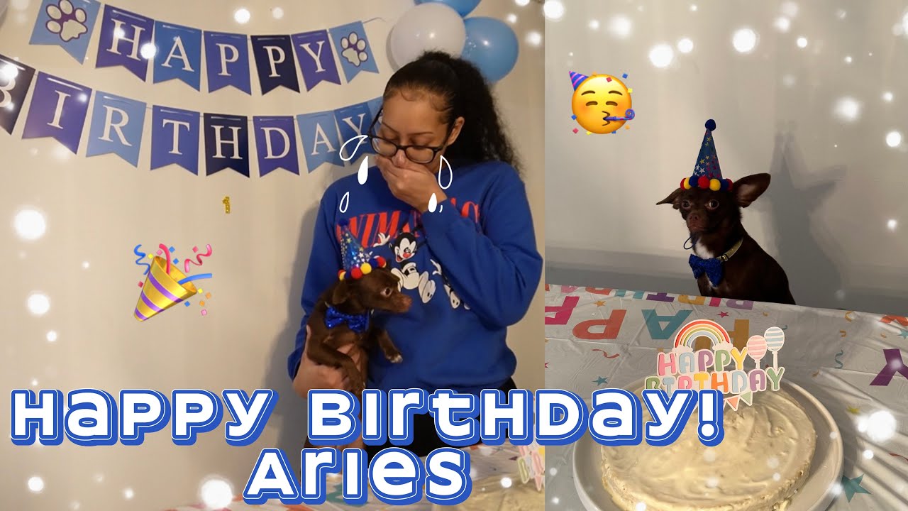 My puppy’s 1st Birthday! 🎂