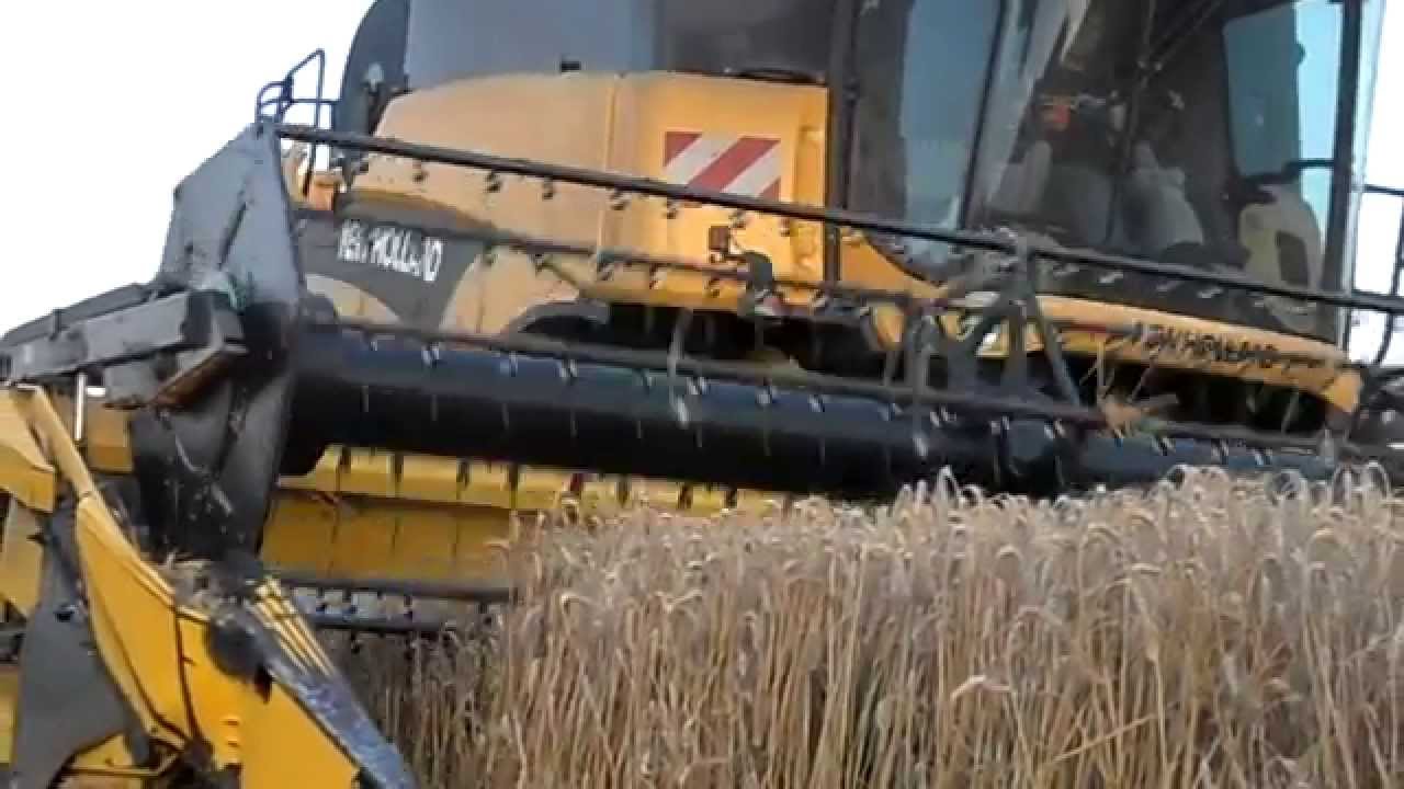 Żniwa 2013 New Holland CX 880