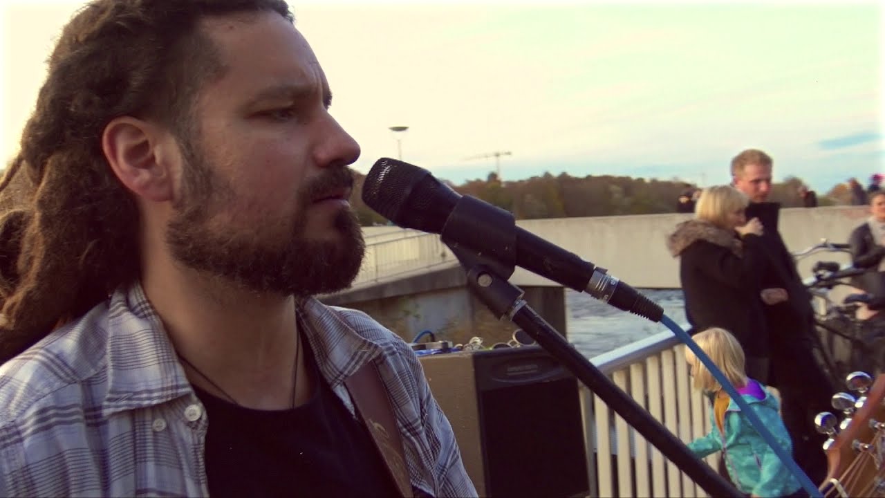Lemon Tree -  Fools Garden (Cover by Max Stadler Live)