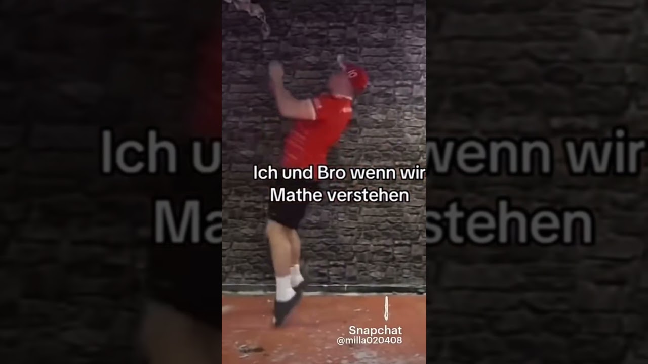 Ich und Bro wenn wir Mathe verstehen🫴🏼🥲