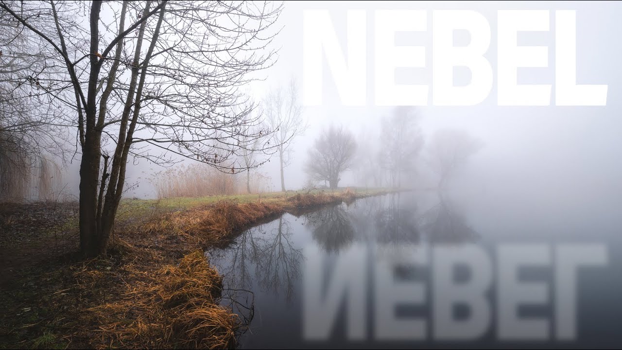 Perfekter Nebel zum fotografieren | Landschaftsfotografie