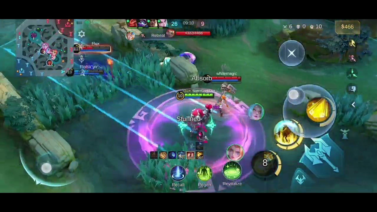 Good protector and High Sustain 