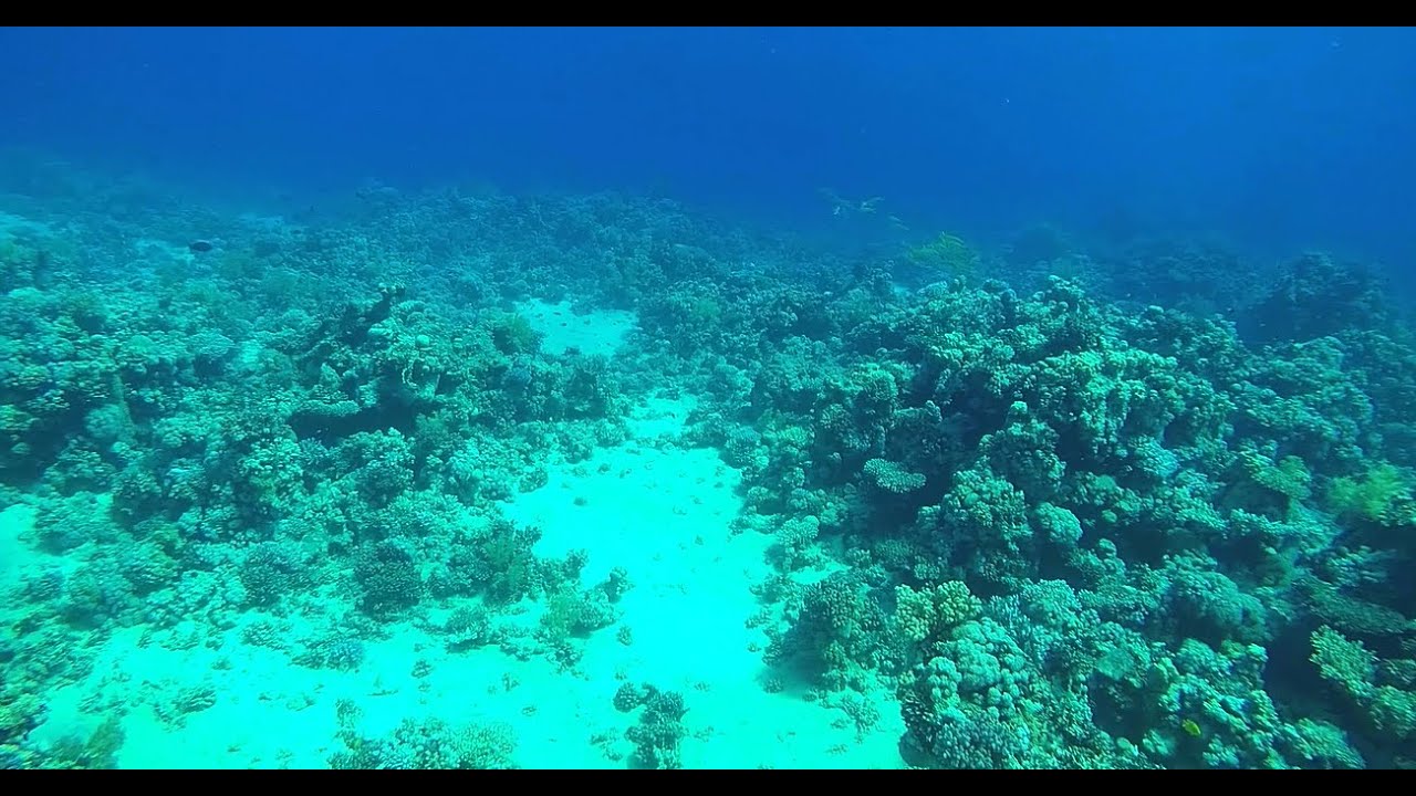 GoPro. Настройки для подводной съёмки в Египте