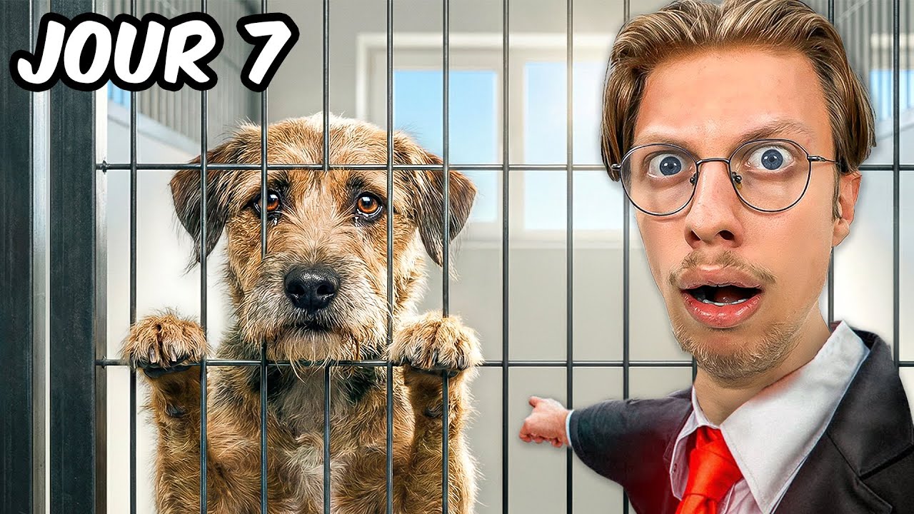 Les Viewers m'ont Forcé à Jouer à ce Jeu Mignon ! (je suis devenu fou | Animal Shelter Simulator 2)