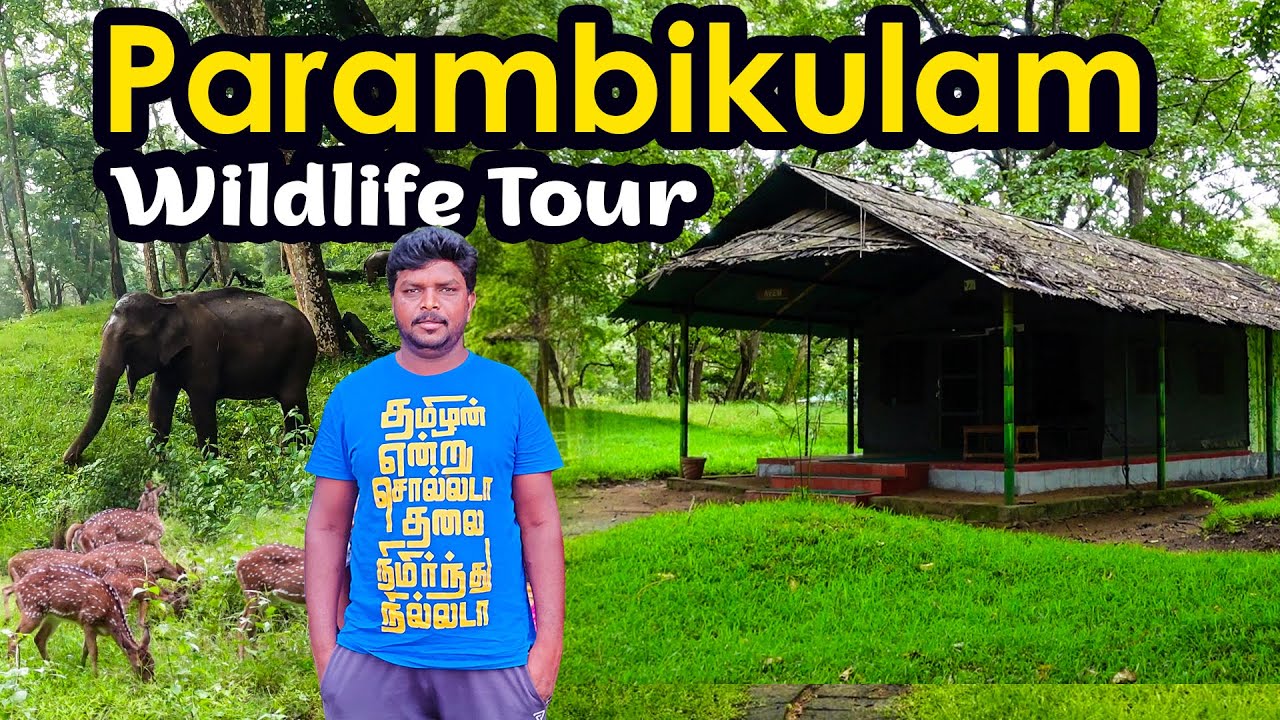 பரம்பிக்குளம் மிஸ் பண்ணக் கூடாத சுற்றுலா தலம் Parambikulam Wildlife Tourism I Village Database