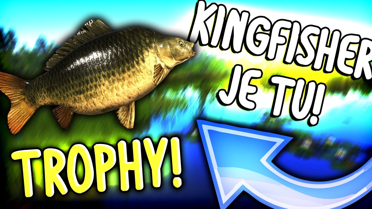 KINGFISHER + 425 SILVERA ZA 30 MIN! | AMBER LAKE | Russian Fishing 4