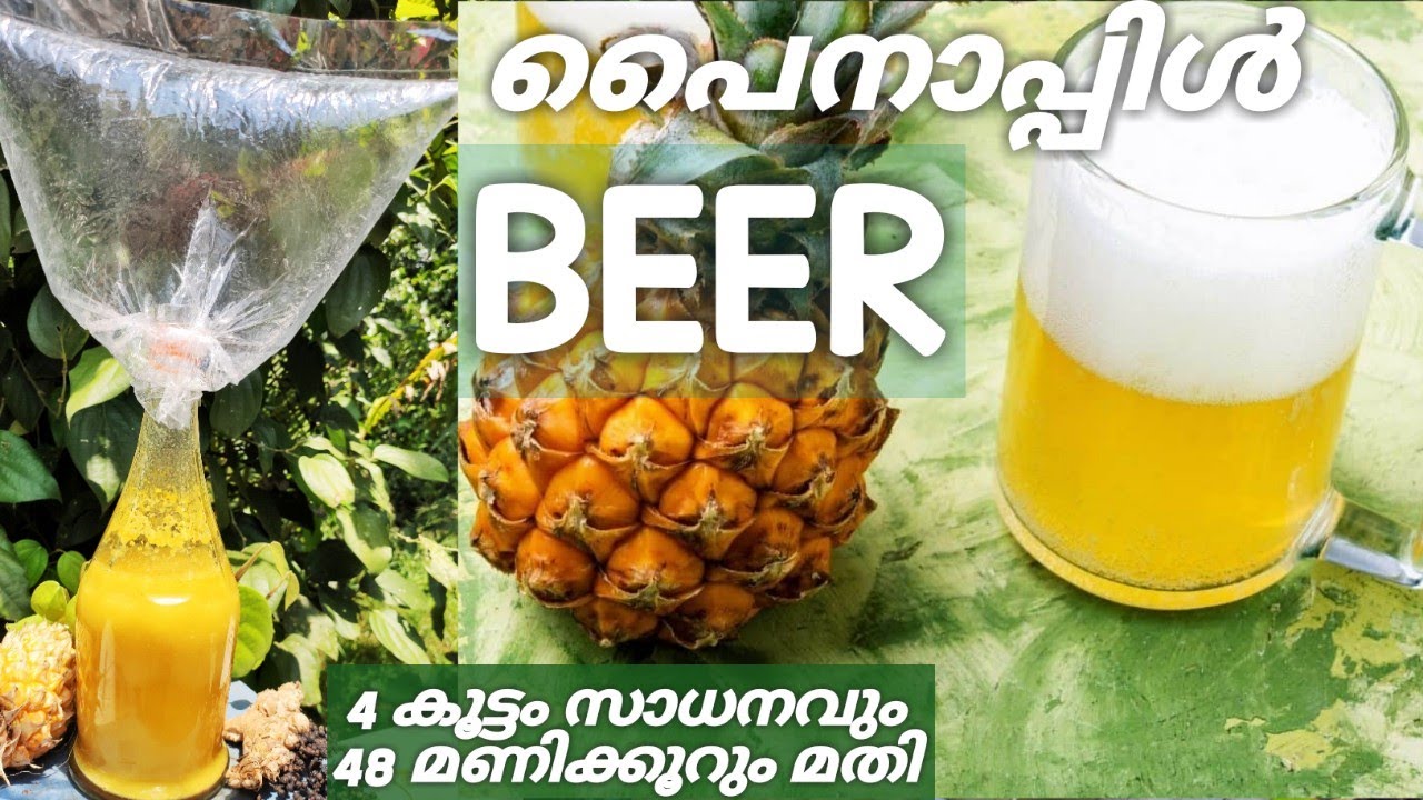 പൈനാപ്പിൾ  ബിയർ |How To Make Pineapple Beer Malayalam | Homemade |Fruit Beer | Pineapple Couple