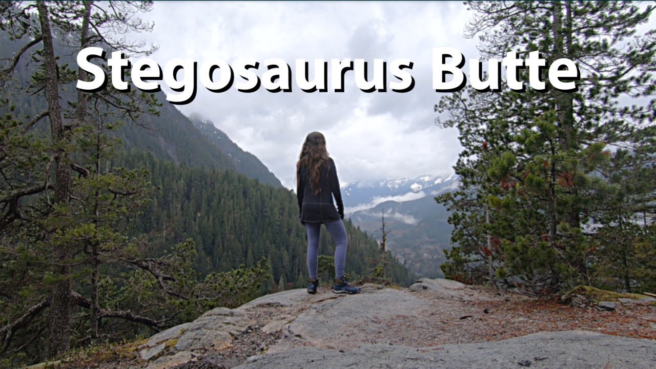 Climbing Stegosaurus Butte