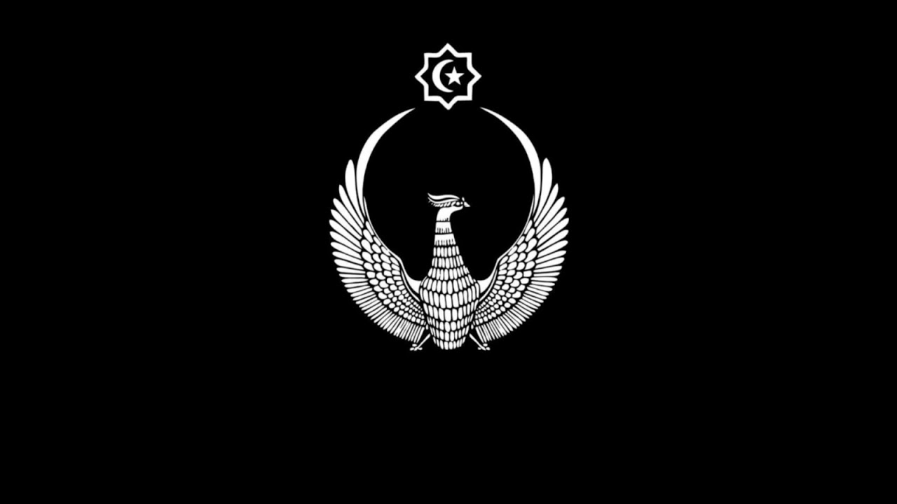 Ozon (carrozzeria zal) #uzbekistan#rek 