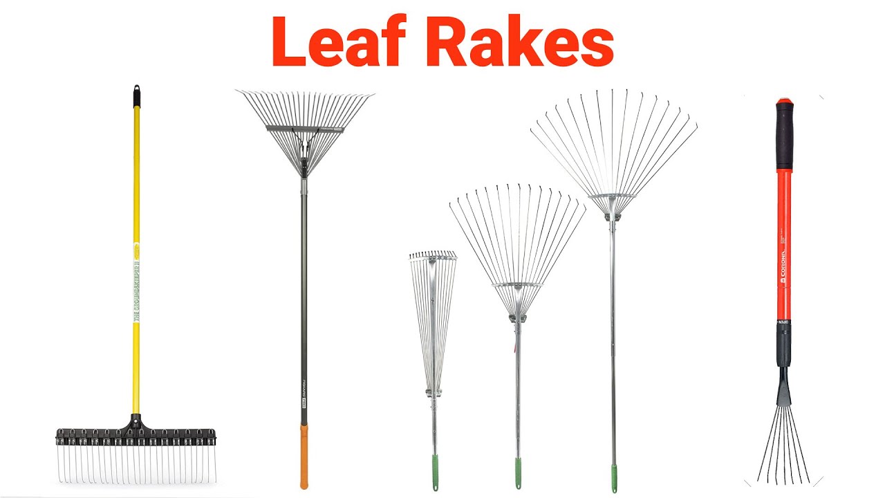 Top 5 Best Leaf Rakes for Lawn Review and Buying Guide 🔥🔥🔥