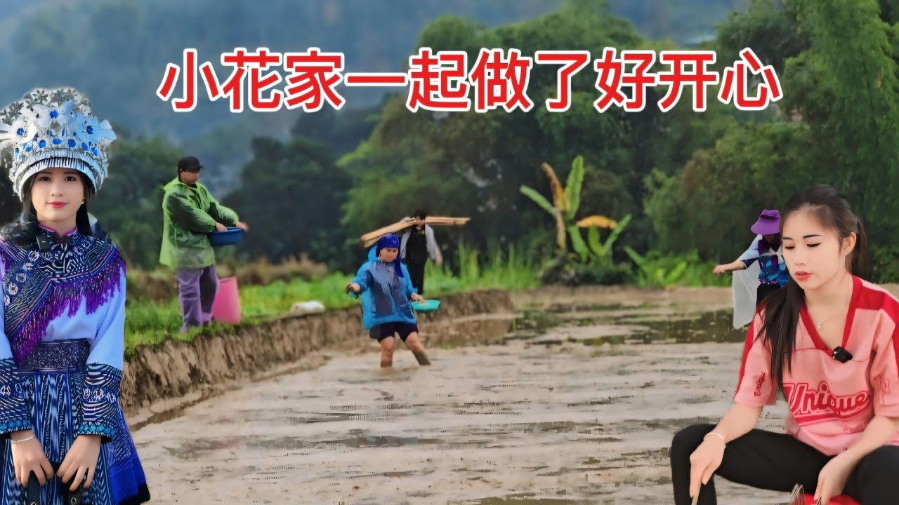 小花全家一起团结合作，下田帮忙播种水稻，希望稻米可以丰收