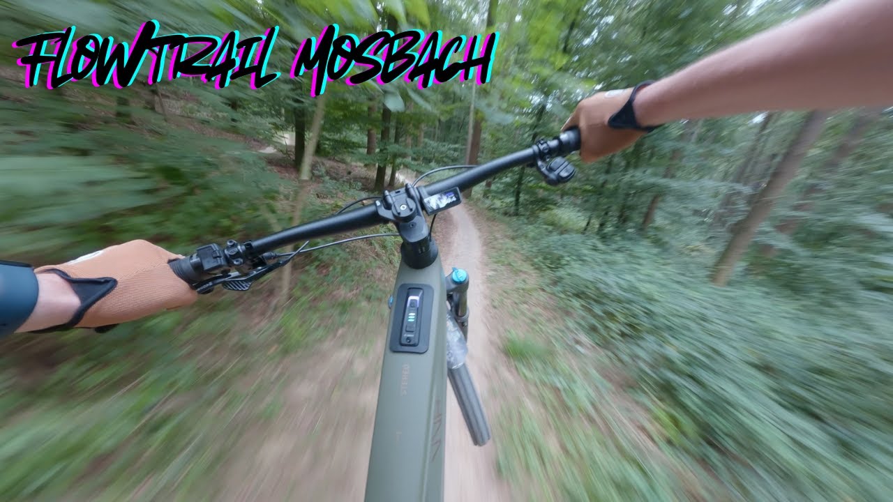 MTB Flowtrail Mosbach – Blaue Line von oben bis unten! (Trail POV)