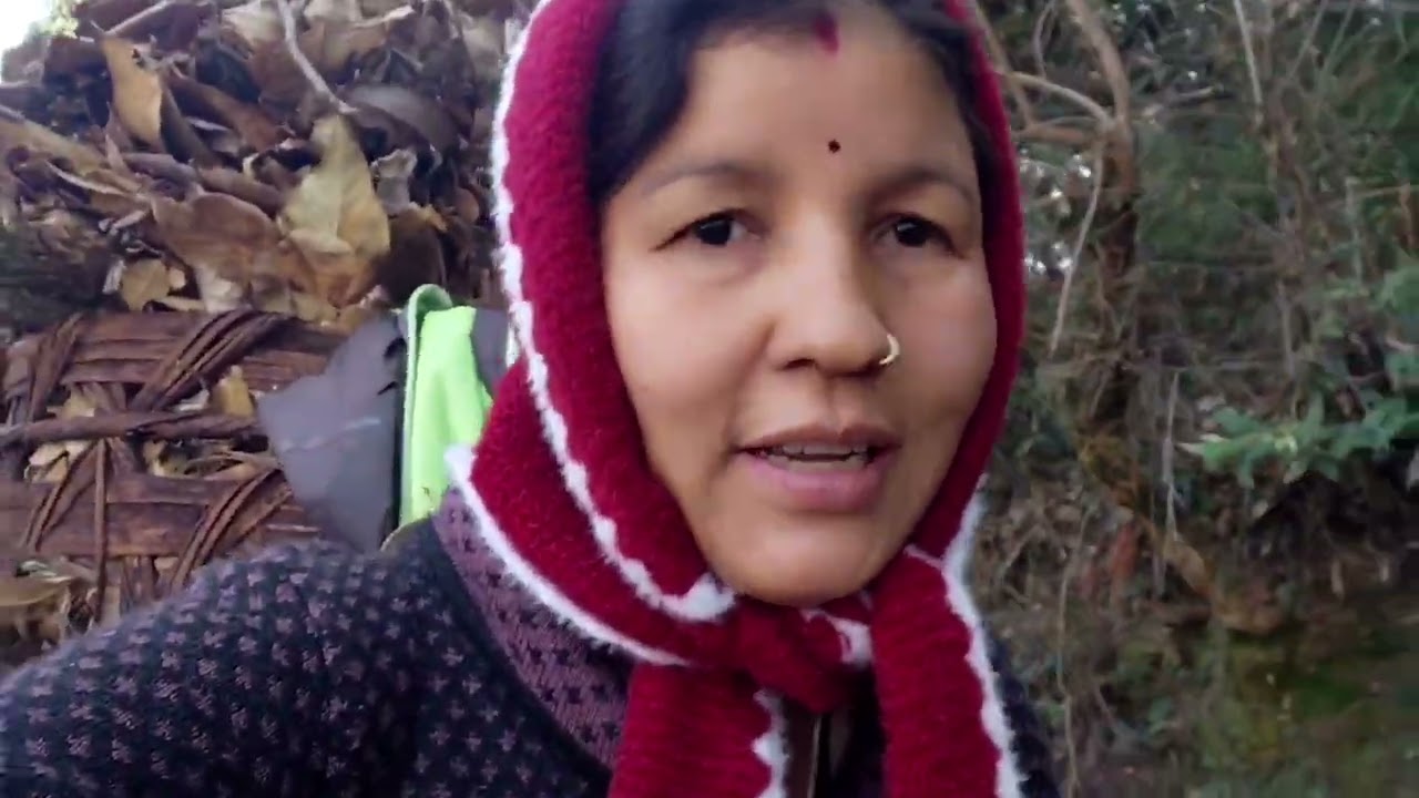 आज  गये  हम  जंगल  पत्ते उठाने 