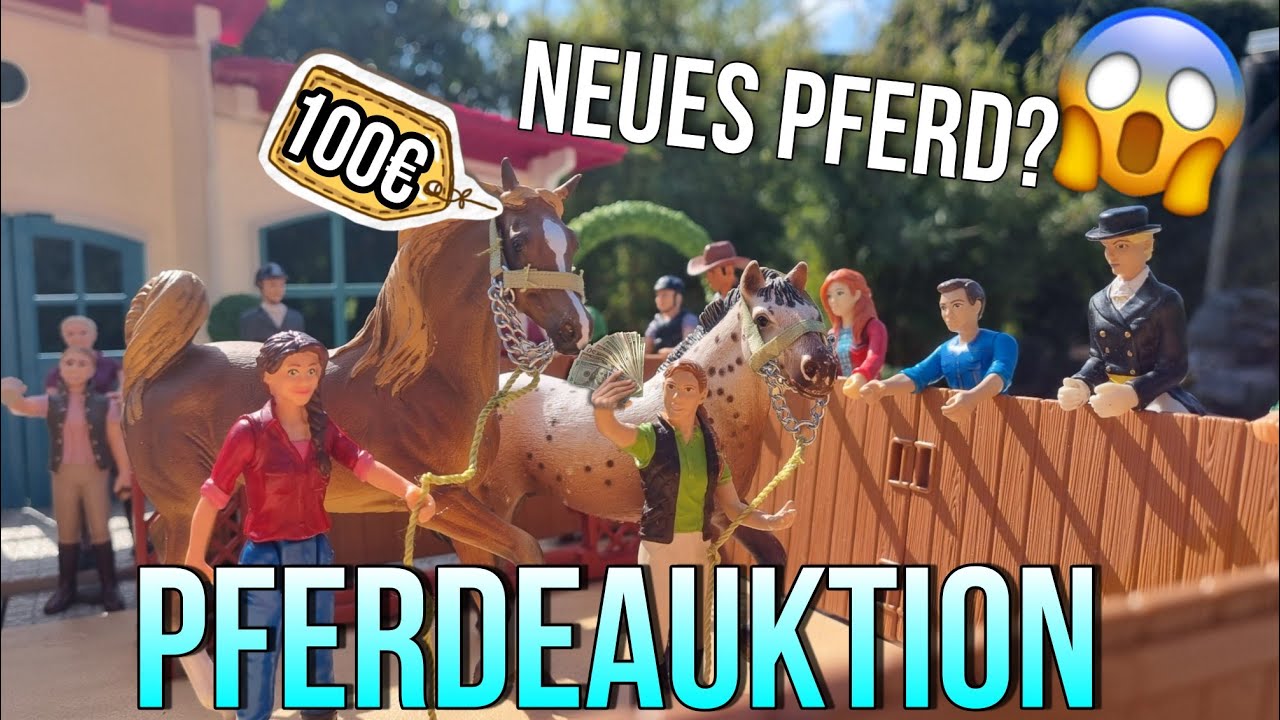 Wir gehen auf eine große PFERDEAUKTION 😱XXL LÄNGE ❤️65K SPECIAL