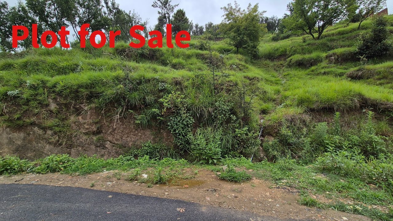 Property for Sale || Mukteshwar mai property